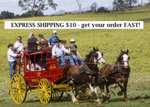 FAST EXPRESS SHIPPING