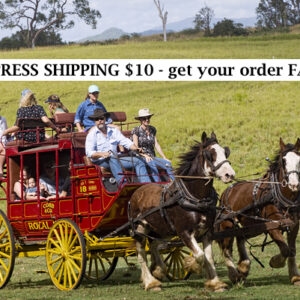 FAST EXPRESS SHIPPING